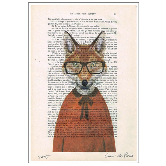 Clever Fox Print in Orange Shirt Animal and Spectacles Nerdy - Etsy Clever Fox Print in Orange Shirt Animal and Spectacles Nerdy - Etsy