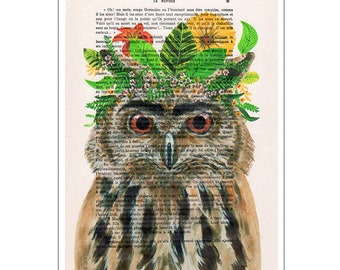 Chihuahua Frida Owl, original owl print on vintage paper for wall decoration or birthday gift.