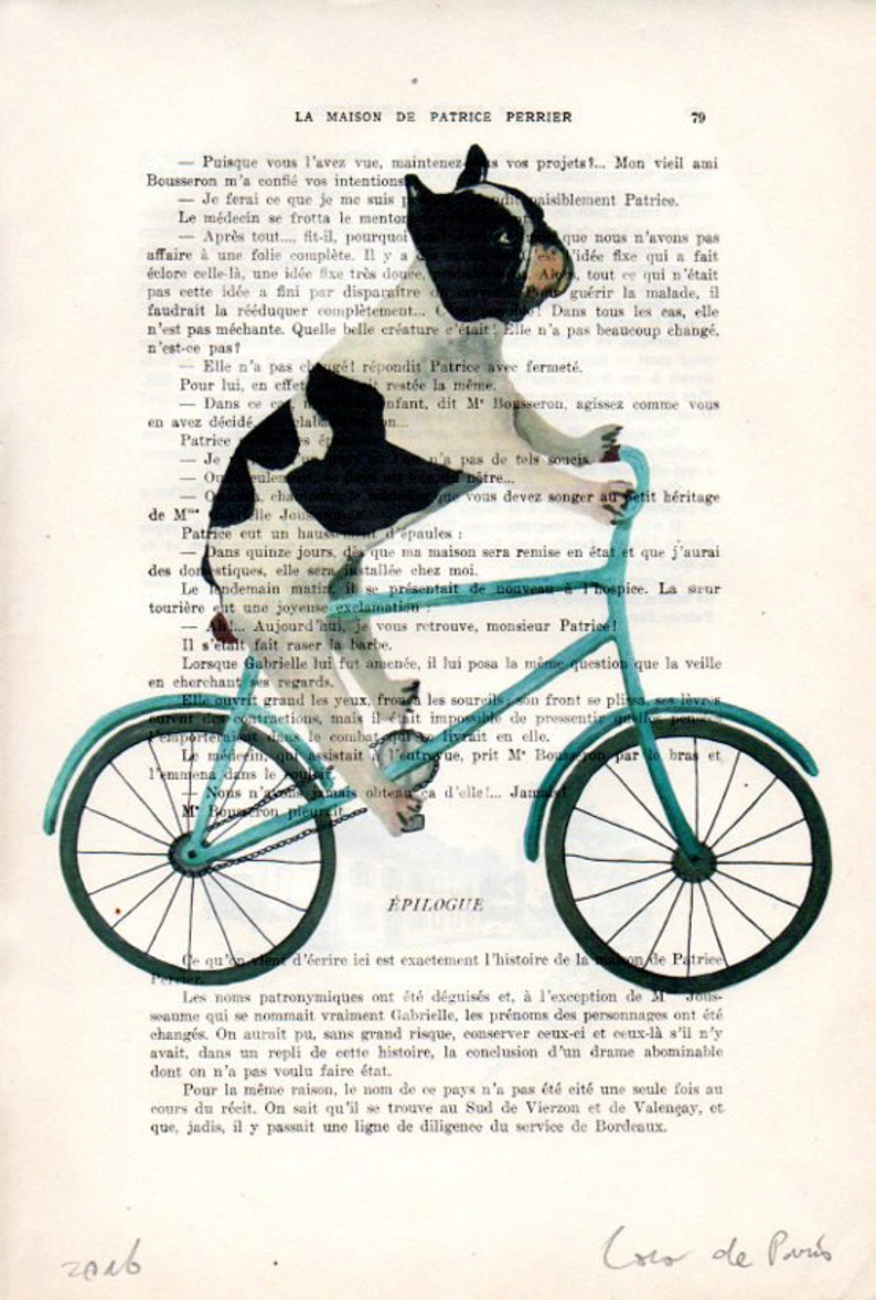 Bulldog on bicycle, frenchie art print, bulldog illustration, frenchie print, boston terrier, frenchie poster, bulldog art, coco de paris image 3