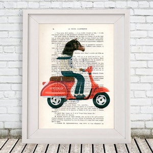 Moped Horse Print, Horse illustration, Horse Art, Horse Decor, Rocking Horse, Horse Painting, Horse Art Colorfull Wall Art, Animal Print image 1