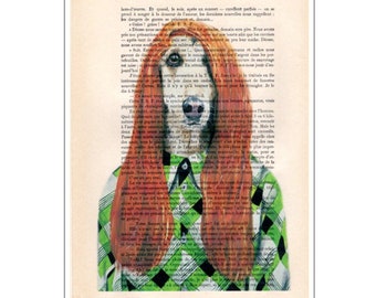 Afghan dog preppy style, dog lovers, preppy, original artwork from Coco de Paris, art