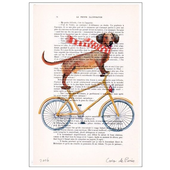 Daschund artwork, bicycle poster, Daschund cycling,christmas gift, holiday gift, christmas idea, daschund lovers, free shipping 4 prints
