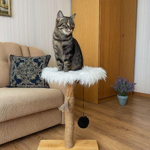 May include: A tabby cat sits atop a cat tree with a white, fluffy perch. The cat tree has a natural wood post wrapped in twine, a dangling black pom-pom toy, and a wooden base. A decorative pillow and a potted plant are in the background.