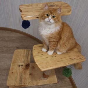 May include: A wooden cat tree with multiple platforms and a scratching post. An orange and white cat sits on one of the platforms. The cat tree has a natural wood finish and is decorated with blue and green pom-poms.