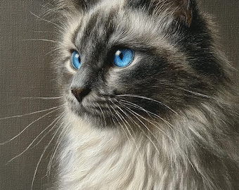 May include: A detailed portrait of a cat with striking blue eyes. The cat has a gray and white coat with long fur. The image is a close-up, showcasing the cat's face and whiskers against a neutral background.