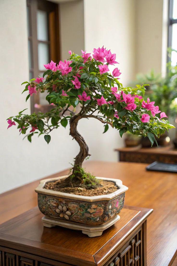 Flieder bonsai - Etsy sterreich