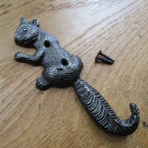 May include: A dark gray, cast metal wall hook shaped like a squirrel with a textured finish. The squirrel's long, curved tail forms the hook portion. Two circular mounting holes are visible on the body, and one small metal screw is included.