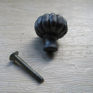K&ouml;nnte beinhalten: Ein dunkelgrauer Schrankknauf aus Metall mit einer abgerundeten, geriffelten, k&uuml;rbisartigen Form und einem glatten, konischen Sockel. Neben dem Knauf liegt eine einzelne silberfarbene Metallschraube mit Flachkopf zur Befestigung des Beschlags.