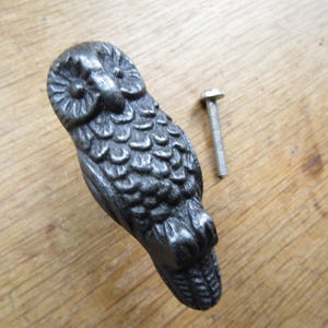 May include: A dark grey, cast metal cabinet knob shaped like an owl with detailed feather textures on its body and head. The owl figure is positioned vertically next to a single silver-coloured metal mounting screw with a flat head.