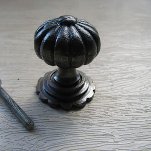 Puede incluir: Un pomo para armario de color gris oscuro con forma de calabaza, superficie acanalada y texturizada, y una base circular festoneada. El pomo presenta un vástago central y se acompaña de un perno metálico roscado para su instalación.