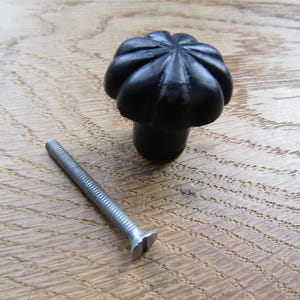May include: A black cabinet knob with a rounded, fluted, pumpkin-like shape and a smooth finish. The knob features a central cylindrical base and is accompanied by a single, long, silver-colored metal machine screw with a flat head.