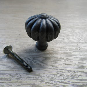 May include: A dark gray metal cabinet knob with a rounded, fluted, pumpkin-like shape and a textured finish. The knob features a central circular top and vertical ridges radiating outward. A separate, long, threaded metal bolt is included.