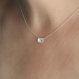 shell silver necklace, silver seashell necklace