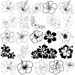 May include: A collection of black and white hibiscus flower illustrations. The image features various styles, including detailed line drawings and solid silhouettes. The flowers are arranged in different compositions, showcasing their diverse forms.