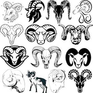 May include: A collection of ram illustrations in various styles. The images include detailed line drawings, silhouettes, and stylized depictions of ram heads and skulls. The color palette is primarily black and white, with a focus on the horns and facial features.