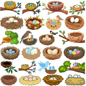 Fågelbo SVG-paket, ägg i boet PNG, rustikt djurliv, vårbo Clipart, fågelbovektor, fågelbo clipart, Svg-klippfiler för Cricut