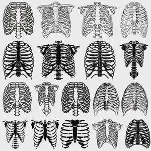 May include: A collection of black and white illustrations of human rib cages. The images vary in style, some with detailed shading and others with solid black outlines. The rib cages are displayed in different orientations.