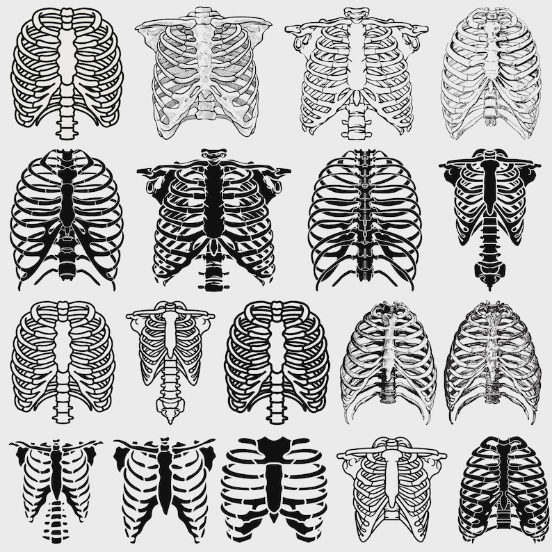 Skeleton Rib Cage SVG Bundle, Clipart Vector (digital Download) - Etsy