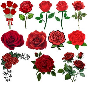 May include: A collection of red rose illustrations in various styles. Some roses are depicted as single blooms, while others are in bouquets or with stems and leaves. The roses vary in detail, from realistic to cartoonish.