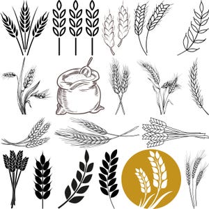 Pode incluir: Uma coleção de ilustrações de trigo e grãos em vários estilos. A imagem inclui desenhos de linha detalhados, silhuetas pretas sólidas e um saco de farinha. Os designs variam de contornos simples a representações mais intrincadas de espigas de trigo.