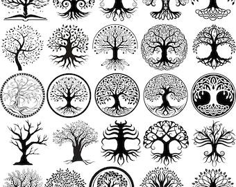 Pacchetto SVG Albero della vita, Clipart silhouette celtica (download digitale)