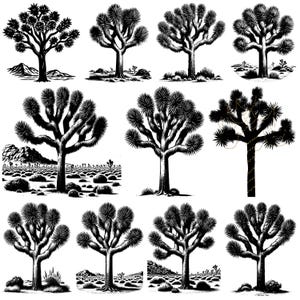 Può includere: Una collezione di illustrazioni in bianco e nero di alberi di Giosuè. I disegni raffigurano gli alberi in varie pose, alcuni con paesaggi desertici sullo sfondo. L'opera d'arte è dettagliata, con un focus sulle forme e trame uniche degli alberi.