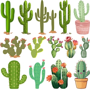Puede incluir: Ilustraciones de varios cactus verdes. Algunos tienen flores rojas o naranjas, otros están en macetas. Los cactus varían en forma y tamaño, algunos tienen espinas y otros superficies lisas. Tema botánico.