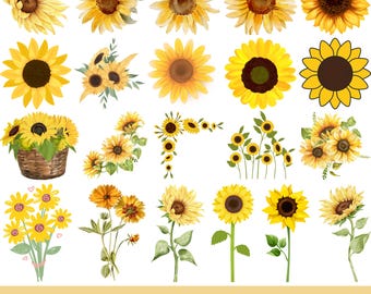 Paquete de archivos SVG de girasoles: imágenes prediseñadas florales, archivos de corte (descarga digital)