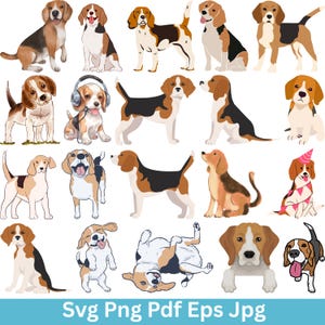 Puede incluir: Una colección de ilustraciones de dibujos animados de perros beagle en varias poses. Los perros están representados en marrón, negro y blanco, algunos con accesorios. La imagen incluye el texto "Svg Png Pdf Eps Jpg" en la parte inferior.