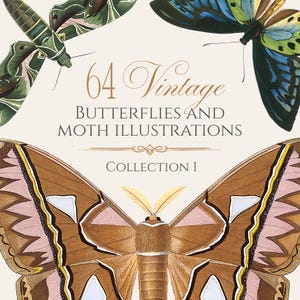 May include: A digital print featuring 64 vintage butterfly and moth illustrations. The image showcases detailed drawings of various butterflies and moths in shades of brown, green, blue, and pink, with the text "64 Vintage Butterflies and Moth Illustrations Collection 1."