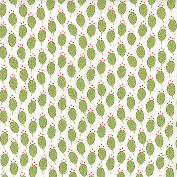 30-Zoll-Ende der Bolt Remnant Color Me Happy Sprouts in Lime, Vanessa Christenson, V und Co, Moda Fabrics, 100% Baumwollstoff, 10822 15