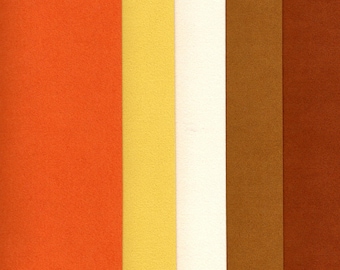 Ultrasuede ST - 5 pieces of 9" x 6".