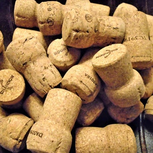 Natural Champagne Corks,  Used, Lot of 25
