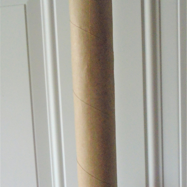 Single Paper Towel Tube Roll - Great for School Projects DIY