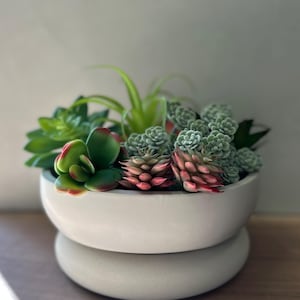 May include: A white, two-tiered ceramic planter filled with a variety of succulents. The succulents display shades of green, red, and pink. The planter sits on a wooden surface, creating a natural aesthetic.