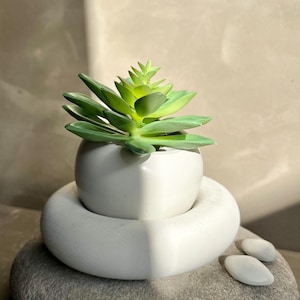 May include: A small, green succulent plant in a white ceramic pot, set atop a white, rounded pedestal. The pedestal rests on a gray stone, with two small white stones nearby. The plant has vibrant green leaves.