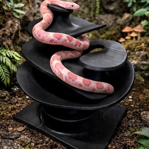 Gothic Tree Reptile Ledge & Decor | Climbing Enrichment for Gecko, Snake