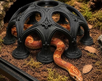 Decoración de cúpula para rosetón / Enriquecimiento para escalar, PLA seguro para mascotas, gecko, serpiente, rana