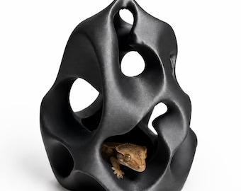 Gothic Organic Stone Reptile Hide | Pet-Safe PLA Hideout for Gecko, Snake, Frog