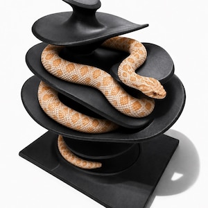 Tree Reptile Ledge & Decor | Climbing Enrichment  Pet-Safe PLA, Gecko, Snake, Frog | Gothic Organic Series
