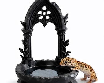Peut inclure: Un abreuvoir circulaire noir doté d'une arche décorative avec un motif floral découpé et des accents en forme de feuilles sur les piliers. Un gecko léopard tacheté jaune et brun est posé sur le bord du bassin, regardant dans l'eau.