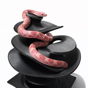 Gothic Tree Reptile Ledge & Decor | Climbing Enrichment for Gecko, Snake