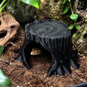 May include: A black, tree stump-shaped reptile hideout with a textured surface. A small gecko is visible inside the hideout. The hideout is surrounded by brown soil, green plants, and rocks, creating a naturalistic terrarium environment.
