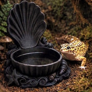 Shell Crest Reptile Water Bowl | Gothic Ocean Shrine Decor, Pet-Safe PLA, Gecko, Snake, Frog