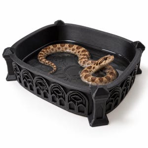 May include: A black, rectangular water dish featuring an intricate, arched architectural pattern along its exterior walls and four corner pillars. A brown and tan patterned snake is coiled inside the basin, which is filled with clear water.