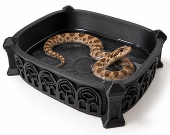 Gothic Relief Snake Soaking Dish | Reptile Water Bowl & Snake and Gecko Terrarium Decor | Architecture Series