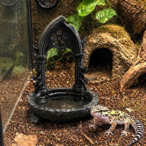 May include: A black, gothic-style archway water dish for reptiles, featuring a circular basin and decorative pillars with leaf accents. A yellow and black spotted leopard gecko stands on the brown substrate next to the water bowl.