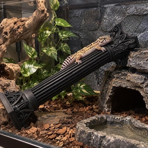 May include: A leopard gecko with yellow, black, and white spotted skin resting on a black, fluted, architectural column decoration. The column features ornate, carved detailing at both ends and is positioned diagonally within a terrarium.