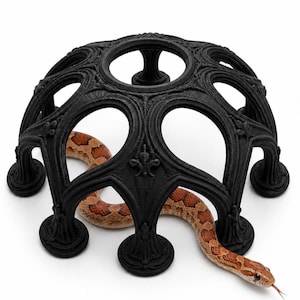 Rose Window Dome Decor | Climbing Enrichment  Pet-Safe PLA, Gecko, Snake, Frog