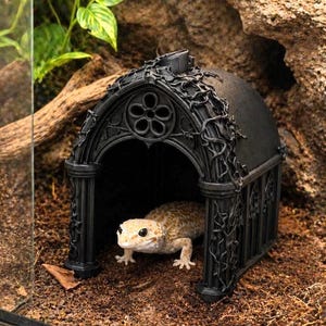 May include: A black, arched reptile hide with intricate vine-like detailing and a circular floral motif above the entrance. A light-coloured, spotted leopard gecko is positioned inside the structure, resting on the dark, textured soil surface.